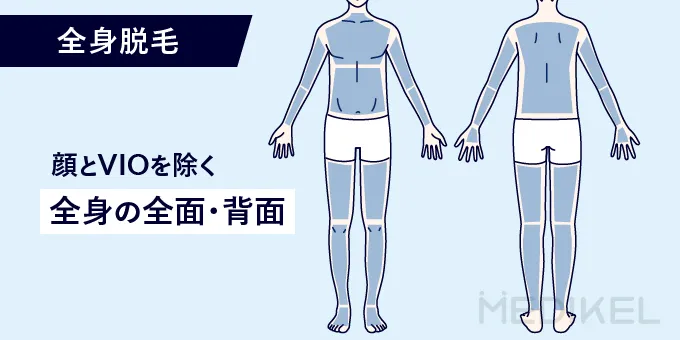 メンズの全身脱毛に含まれる範囲